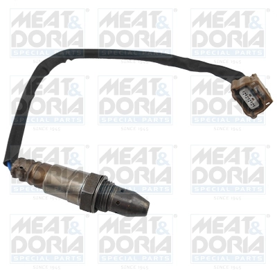 Oxygen Sensor